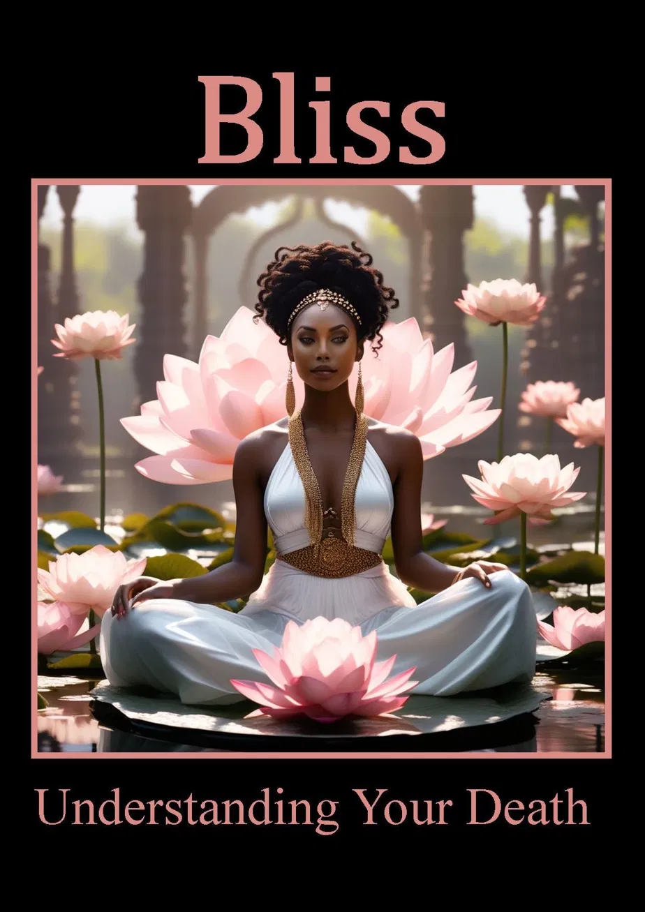 Bliss book cover by Al-Antony Moody